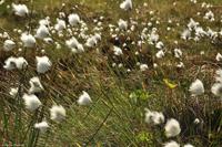 Norwegen - Wunderwelt der Fjorde - Eberhardt-Travel - Reiseleiter Martin Büchner-3931