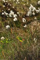 Norwegen - Wunderwelt der Fjorde - Eberhardt-Travel - Reiseleiter Martin Büchner-3934