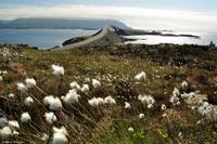 Norwegen - Wunderwelt der Fjorde - Eberhardt-Travel - Reiseleiter Martin Büchner-3936