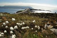 Norwegen - Wunderwelt der Fjorde - Eberhardt-Travel - Reiseleiter Martin Büchner-3937