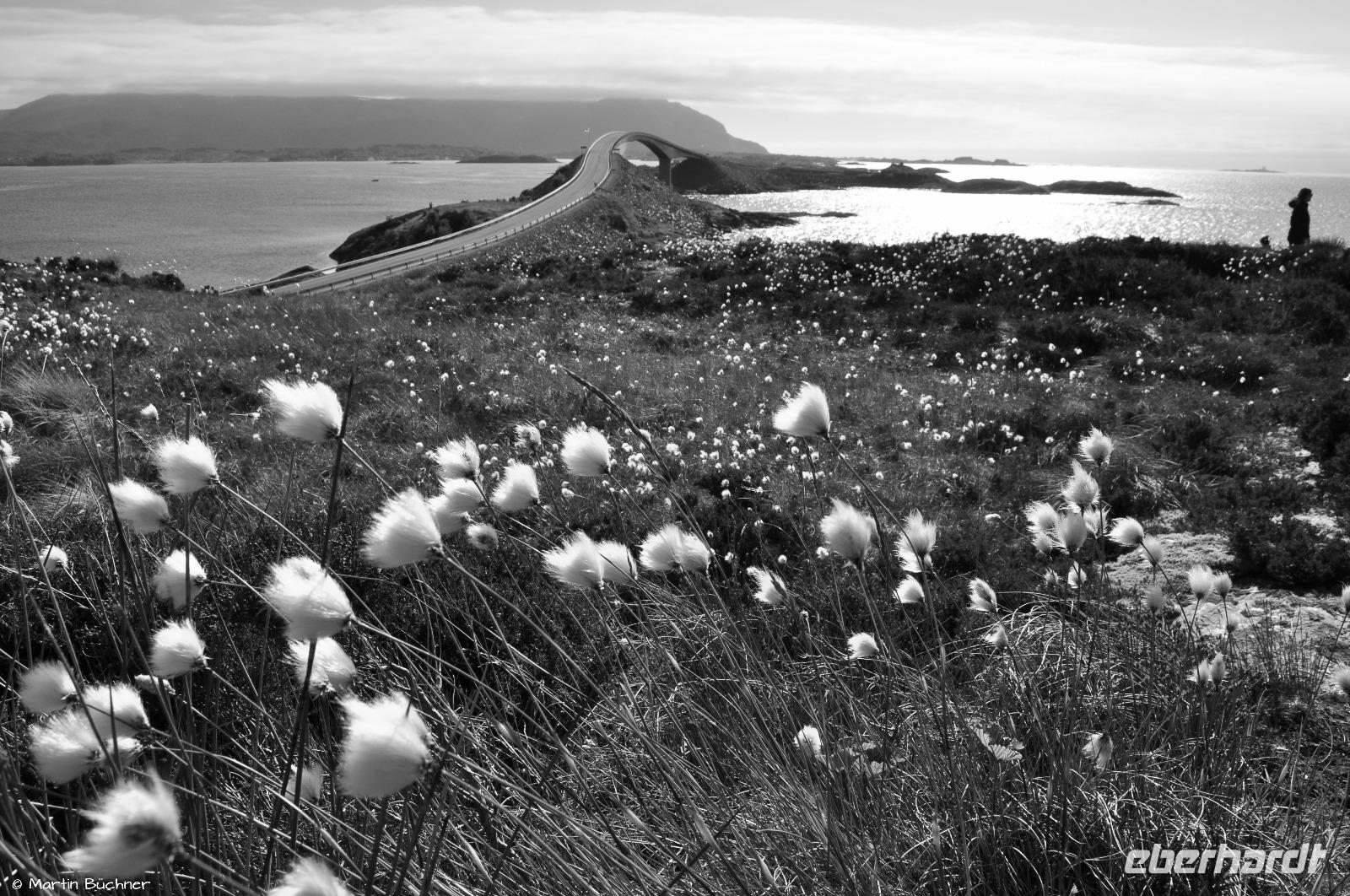 Norwegen - Wunderwelt der Fjorde - Eberhardt-Travel - Reiseleiter Martin Büchner-3941