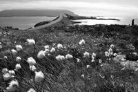 Norwegen - Wunderwelt der Fjorde - Eberhardt-Travel - Reiseleiter Martin Büchner-3941