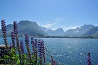 Norwegen - Wunderwelt der Fjorde - Eberhardt-Travel - Reiseleiter Martin Büchner-4190