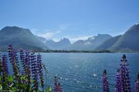 Norwegen - Wunderwelt der Fjorde - Eberhardt-Travel - Reiseleiter Martin Büchner-4192