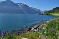 Norwegen - Wunderwelt der Fjorde - Eberhardt-Travel - Reiseleiter Martin Büchner-4202