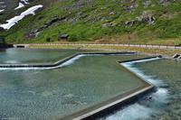 Norwegen - Wunderwelt der Fjorde - Eberhardt-Travel - Reiseleiter Martin Büchner-4333