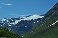 Norwegen - Wunderwelt der Fjorde - Eberhardt-Travel - Reiseleiter Martin Büchner-4487