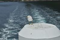 Norwegen - Wunderwelt der Fjorde - Eberhardt-Travel - Reiseleiter Martin Büchner-4939