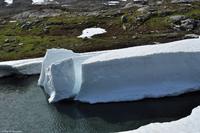 Norwegen - Wunderwelt der Fjorde - Eberhardt-Travel - Reiseleiter Martin Büchner-5134