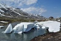 Norwegen - Wunderwelt der Fjorde - Eberhardt-Travel - Reiseleiter Martin Büchner-5140