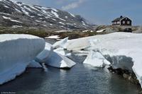 Norwegen - Wunderwelt der Fjorde - Eberhardt-Travel - Reiseleiter Martin Büchner-5151