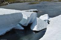 Norwegen - Wunderwelt der Fjorde - Eberhardt-Travel - Reiseleiter Martin Büchner-5155