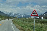 Norwegen - Wunderwelt der Fjorde - Eberhardt-Travel - Reiseleiter Martin Büchner-5207