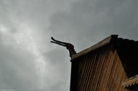 Norwegen - Wunderwelt der Fjorde - Eberhardt-Travel - Reiseleiter Martin Büchner-5257