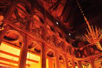 Norwegen - Wunderwelt der Fjorde - Eberhardt-Travel - Reiseleiter Martin Büchner-5290