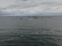 Schären von Göteborg