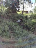 Freilichtmuseum Maihaugen