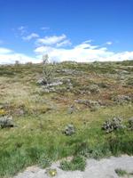 Dovrefjell Nationalpark