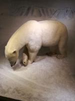 Skimuseum Holmenkollen in Oslo