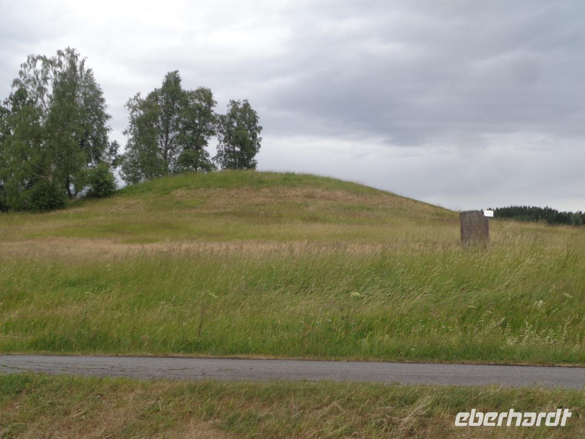 Am Gräberfeld von Högom