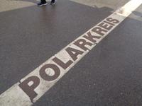 Der Polarkeis. Detail