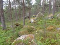 Riesige Findlinge im Wald zur Bärenhöhle