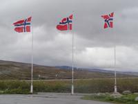 Norwegische Flaggen am Polarkreis