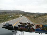 Fahrt übers Dovrefjell