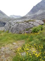 Trollstige Plateau