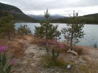 Stopp auf dem Weg nach Lom