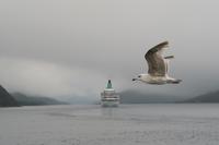 Fahrt zum Trollfjord