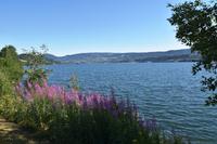 002 Hedmark - Blick über den Mojasee nach Lillehammer