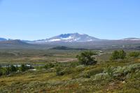 026 Dovrefjell mit Snohetta 2286 m