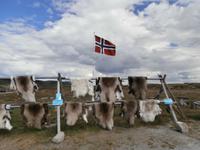 Hardangervidda Samenshop