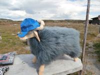 Hardangervidda Samenshop