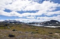 203 Jotunheimen