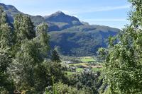 216 Jotunheimen, Fortun