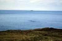 Atlantikstrasse & MS Nordlys