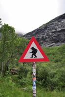 Das meist photographierte Verkehrschild in Norwegen