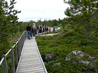 Alta - Felszeichnungen