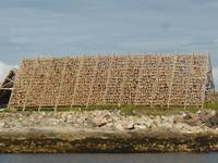 Lofoten - Trockfischgestell 