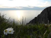 Nordkapp (47)