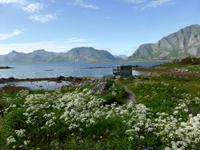 Lofoten - Dan Grahams Skulptur ohne Titel 