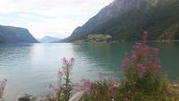 Lustrafjord (Skjolden)