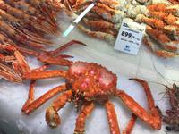 Fischmarkt Bergen Norwegen 