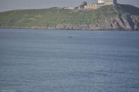 Martin Büchner - BMS Worldtravel - MS Nordnorge - Juli 2018 (14)