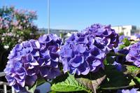 Martin Büchner - BMS Worldtravel - MS Nordnorge - Juli 2018 (35)