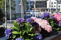 Martin Büchner - BMS Worldtravel - MS Nordnorge - Juli 2018 (36)