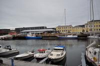 Hurtigruten - MS Nordnorge - Eberhardt-Travel - Reiseleiter Martin Büchner-0735