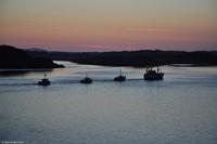 Hurtigruten - MS Nordnorge - Eberhardt-Travel - Reiseleiter Martin Büchner-1122